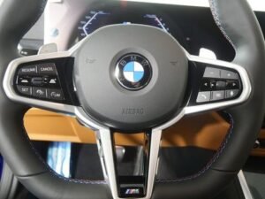 صورة مصغرة